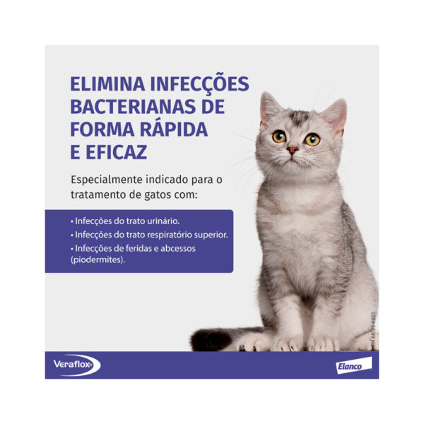Veraflox 2,5% suspensão oral - Imagem 3