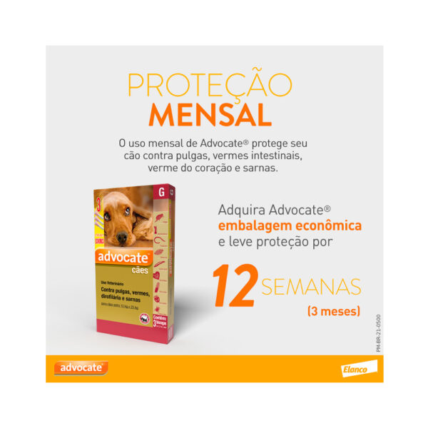 Antipulgas Advocate para Cães - Imagem 5