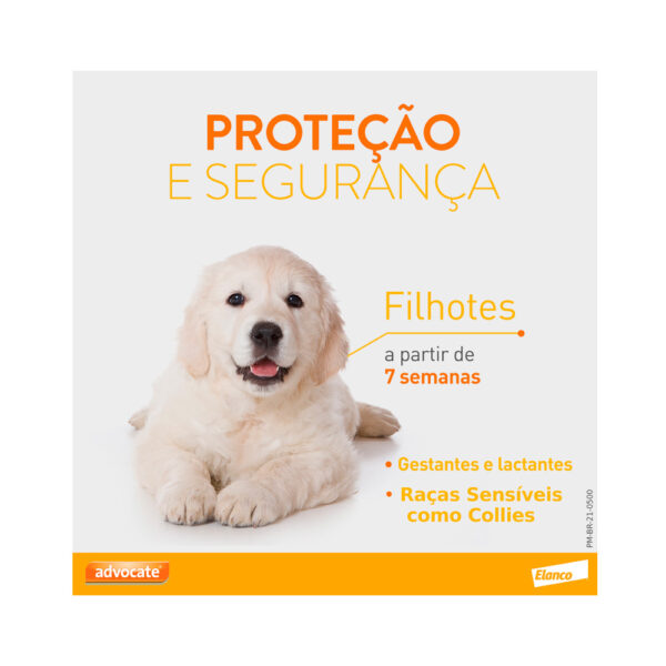 Antipulgas Advocate para Cães - Imagem 13