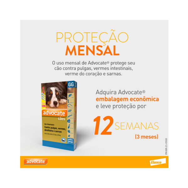 Antipulgas Advocate para Cães - Imagem 9