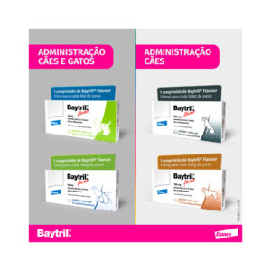 Baytril® Antibiótico para cães e gatos