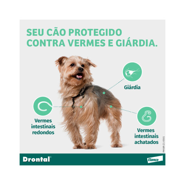 Drontal Plus para Cães - Imagem 9