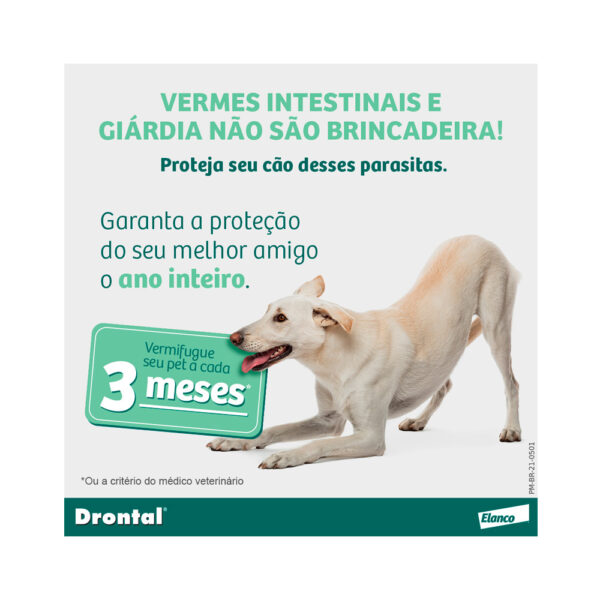 Drontal Plus para Cães - Imagem 6