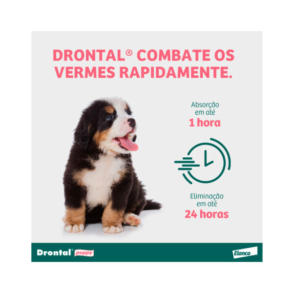 Vermífugo Drontal Puppy para Cães - Imagem 4