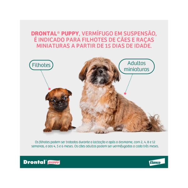 Vermífugo Drontal Puppy para Cães - Imagem 5