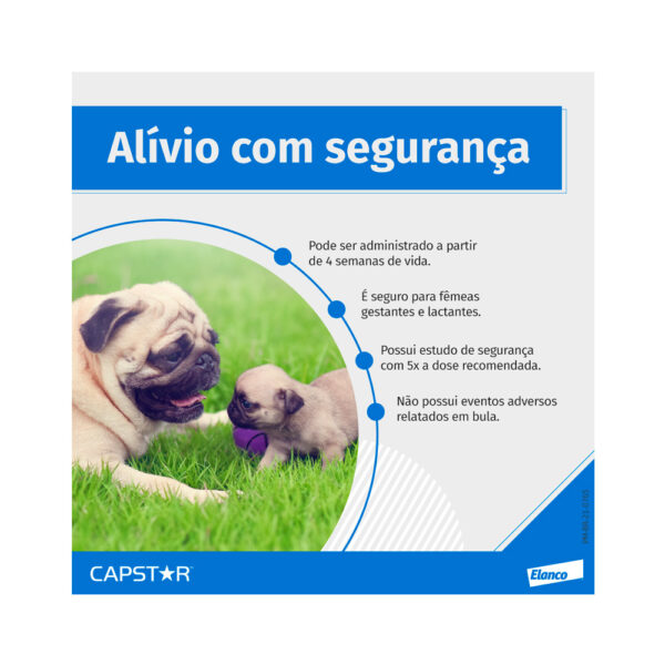 Antipulgas Elanco Capstar - Imagem 4