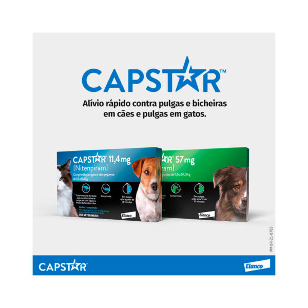 Antipulgas Elanco Capstar - Imagem 7