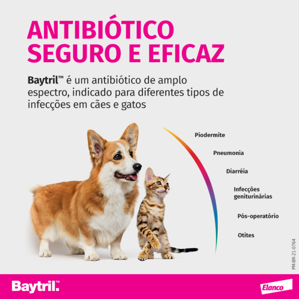 Baytril® Antibiótico para cães e gatos - Imagem 6
