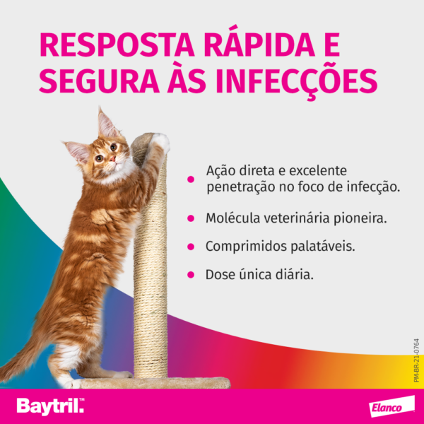 Baytril® Antibiótico para cães e gatos - Imagem 7