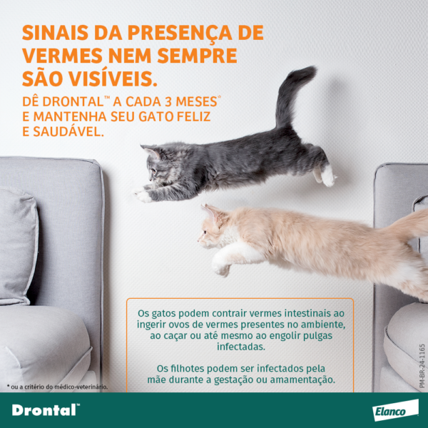 Drontal Gatos - Imagem 7