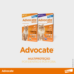 Antipulgas e vermicida Advocate™ para gatos da Elanco