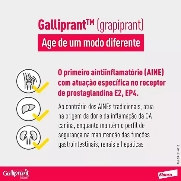 Anti-inflamatório para Cães Galliprant - Imagem 6