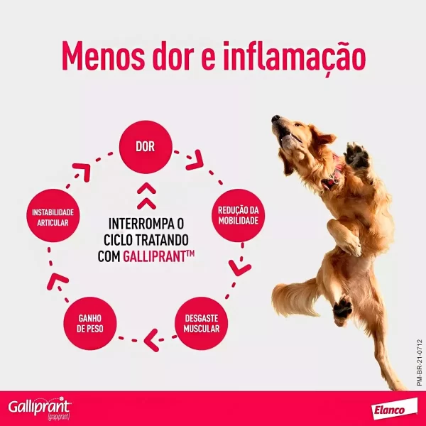 Anti-inflamatório para Cães Galliprant - Imagem 8