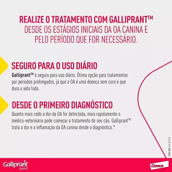 Anti-inflamatório para Cães Galliprant - Imagem 9