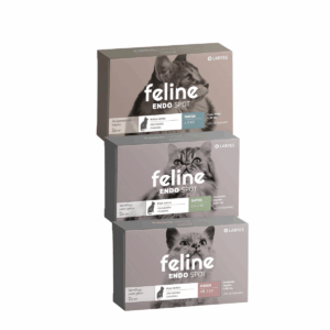 Vermífugo Labyes Feline Endospot para Gatos