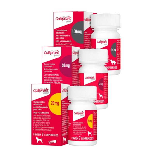 Anti-inflamatório para Cães Galliprant