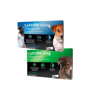Antipulgas Elanco Capstar