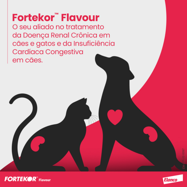 Fortekor™ Flavour para doença renal crônica e insuficiência cardíaca congestiva - Imagem 3