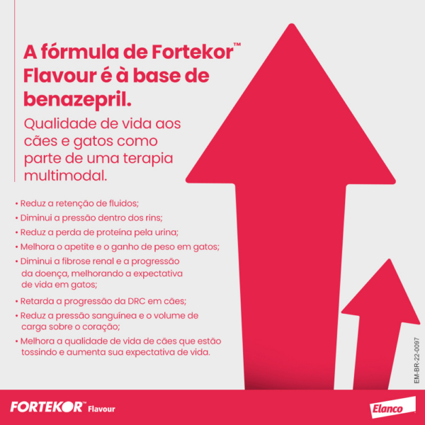 Fortekor™ Flavour para doença renal crônica e insuficiência cardíaca congestiva - Imagem 4