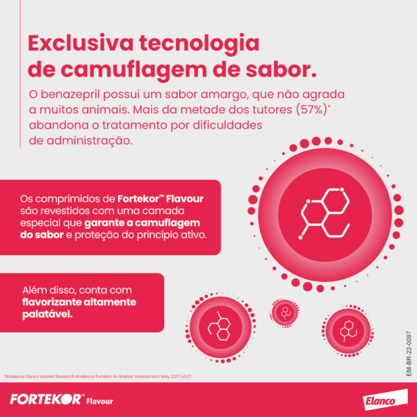 Fortekor™ Flavour para doença renal crônica e insuficiência cardíaca congestiva - Imagem 5