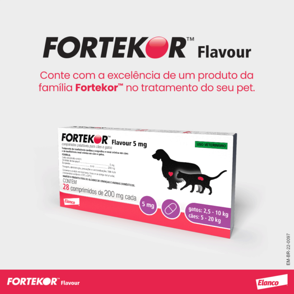 Fortekor™ Flavour para doença renal crônica e insuficiência cardíaca congestiva - Imagem 8