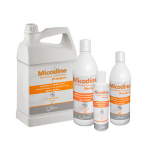 Micodine Shampoo Syntec Cetoconazol e Clorexidine para Cães e Gatos