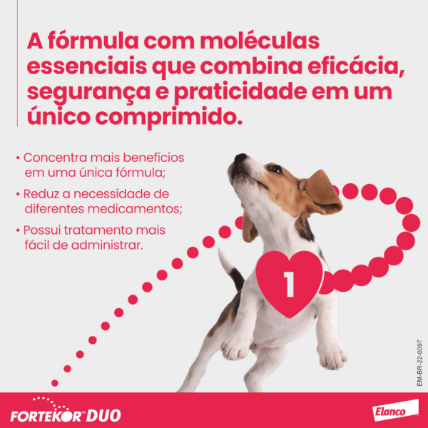 Fortekor™ DUO para Insuficiência Cardíaca Congestiva - Imagem 2