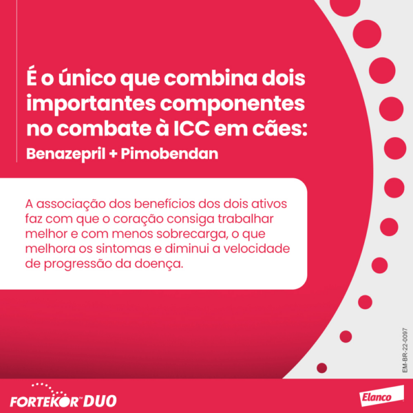 Fortekor™ DUO para Insuficiência Cardíaca Congestiva - Imagem 4