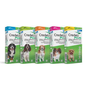 Credeli Plus