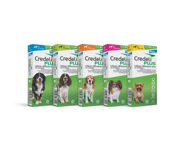 Credeli Plus