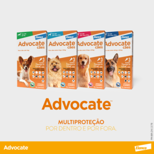 Antipulgas Advocate para Cães 3 pipetas