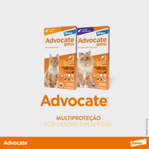 Antipulgas Advocate para Gatos 3 pipetas