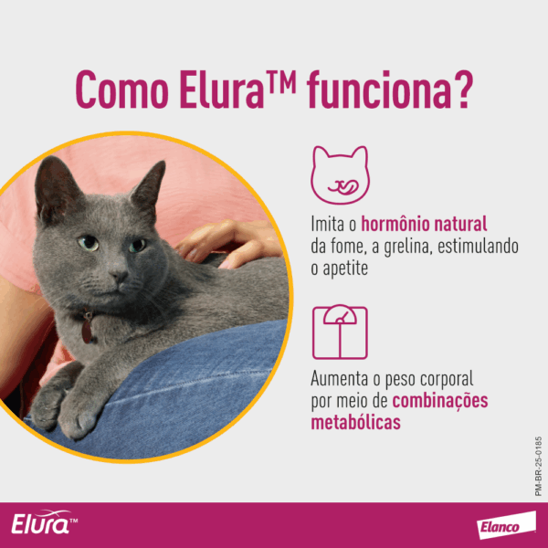 Elura Tratamento Doença Renal Crônica em Gatos Elanco - 15ml - Imagem 6