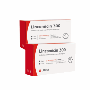 Antibiótico Labyes Lincomicin 300