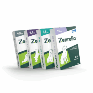 Zenrelia™ tratamento para coceira em cães.