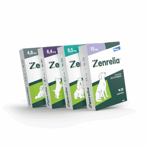 Zenrelia™ tratamento para coceira em cães.
